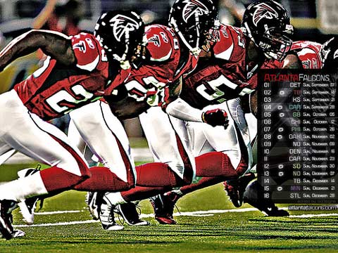 Atlanta Falcons 2008-2009 Season.