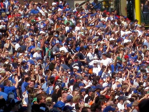 Cubs Fans Go Wild.