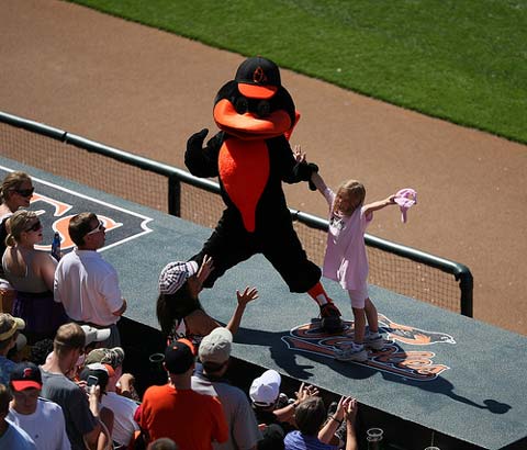 Baltmore Orioles Mascot.